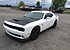 2015 Dodge Challenger for sale 100770155